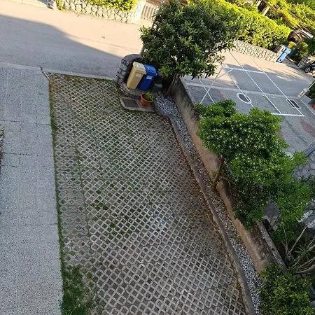 Petrov Apartament